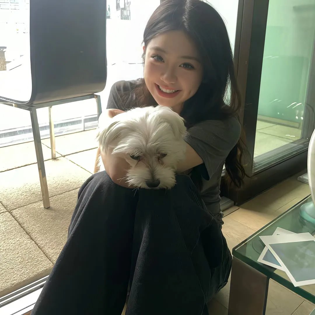 狗狗间谍